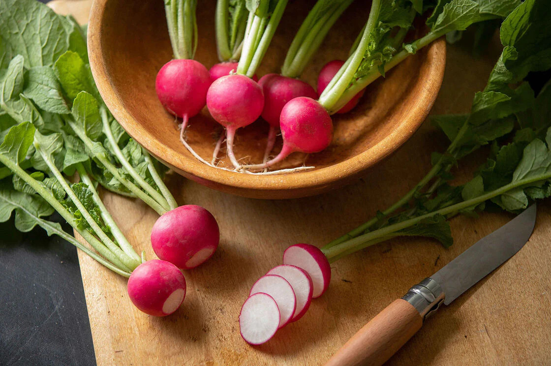 Pink Celebration Radish Seeds | Raphanus sativus Radishes Daikon New Color 2024