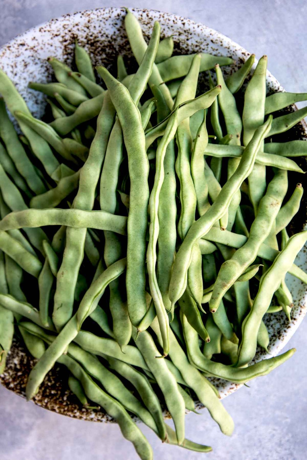 Lu Qing Romano Bean Seeds | Pole Beans Light Green Flat Runner Roma Seed 2023