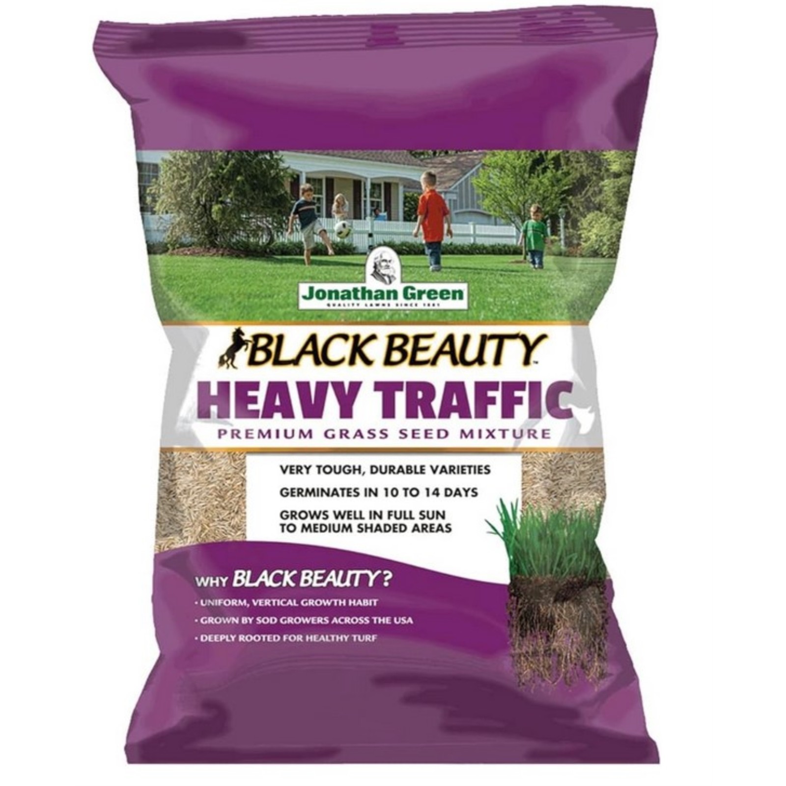 Jonathan Green Black Beauty Heavy Traffic Fescue Grass Seed, 7 Lb Bag, 2 Pack