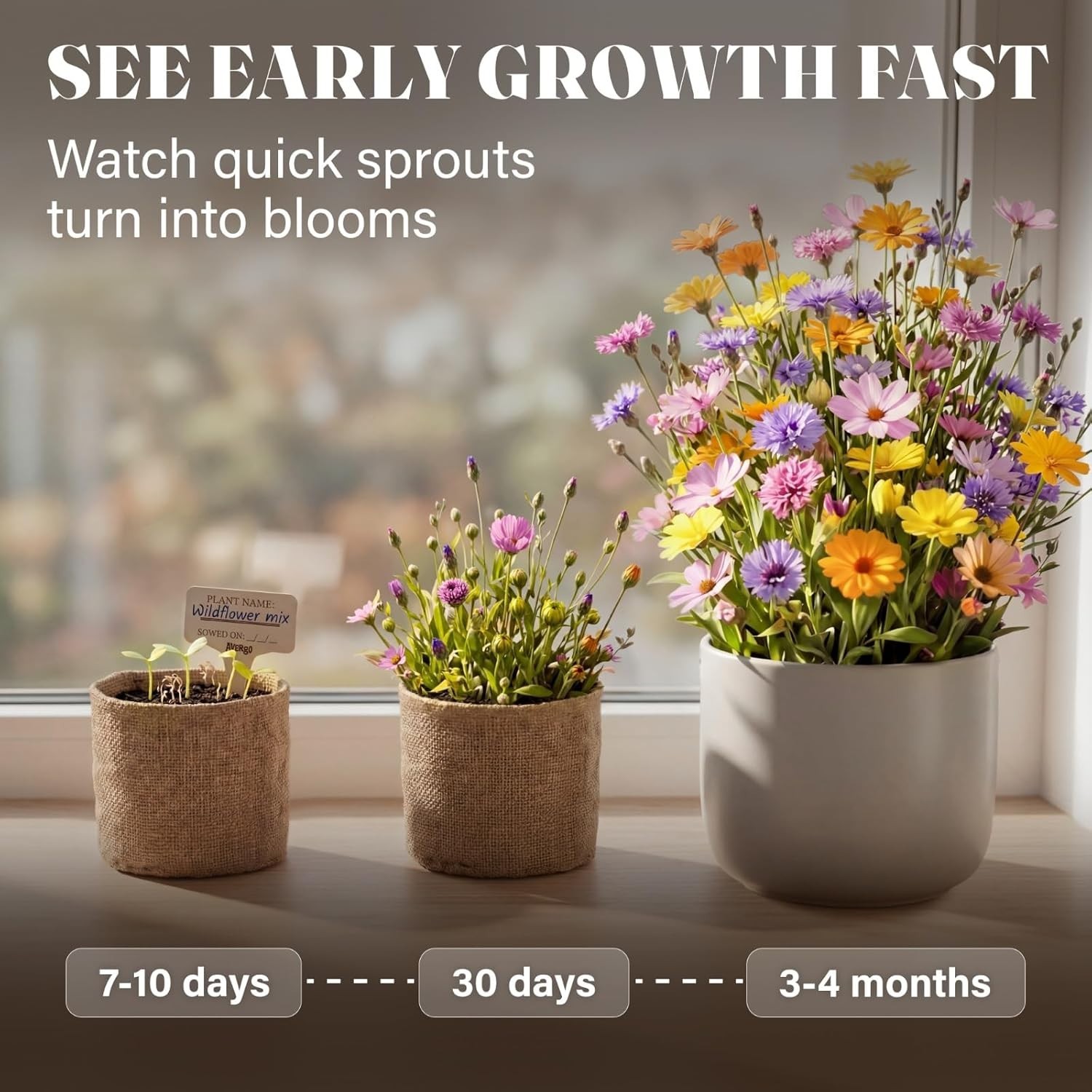 Wildflower Growing Kit Seed Mix Perennial Annual Indoor Soil & Tools Included