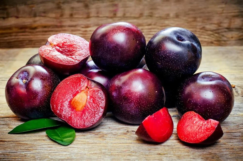 American Red Plum Tree Seeds for Planting, 5 Fruit Seeds per Packet, (), Non GMO