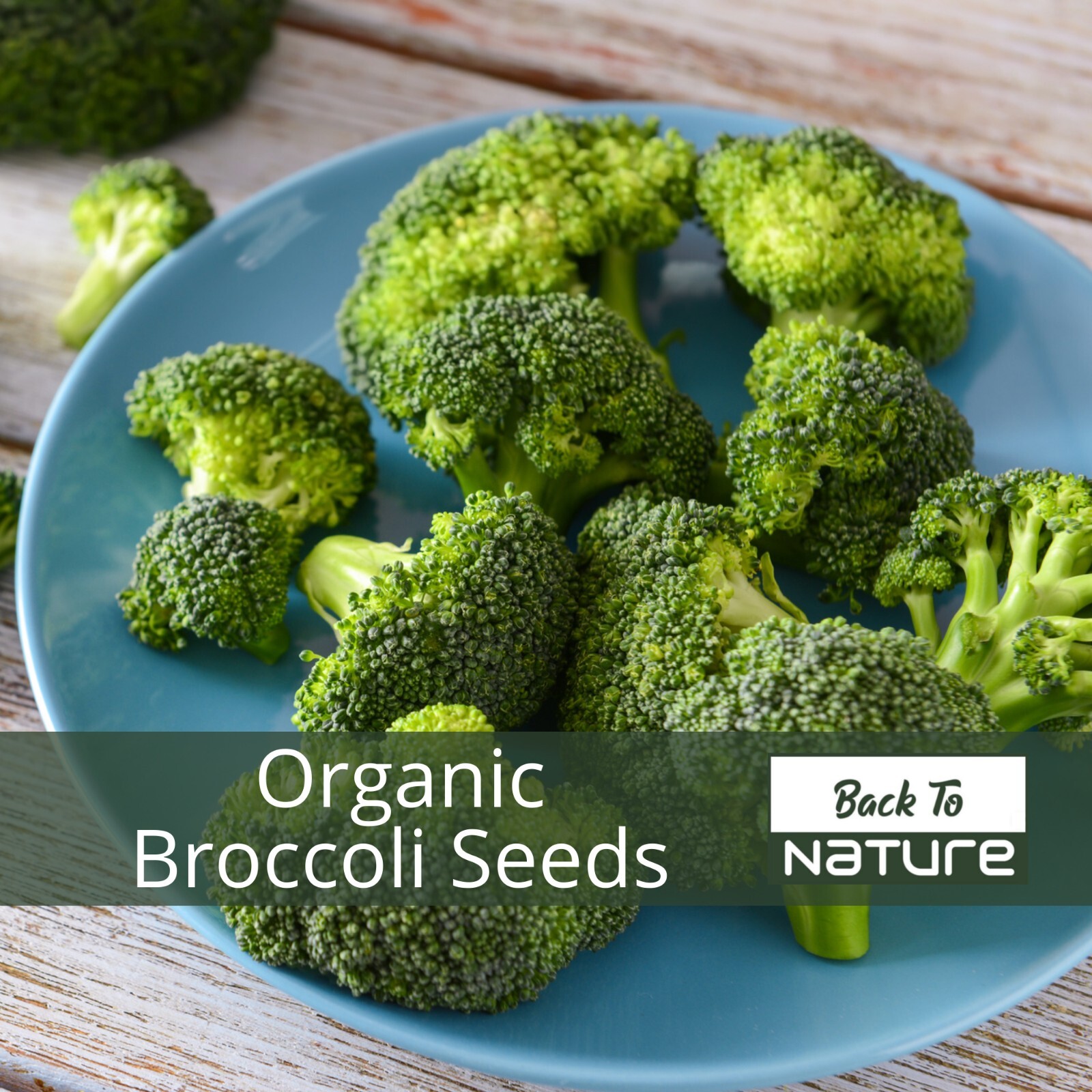 Broccoli – Seeds – Organic – Non Gmo – Heirloom Seeds – Vegetable Seeds