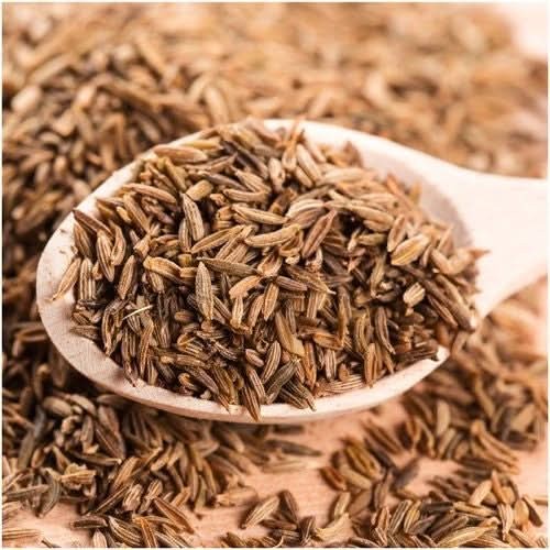 Cumin Herb Seeds For Planting (Cuminum cyminum)