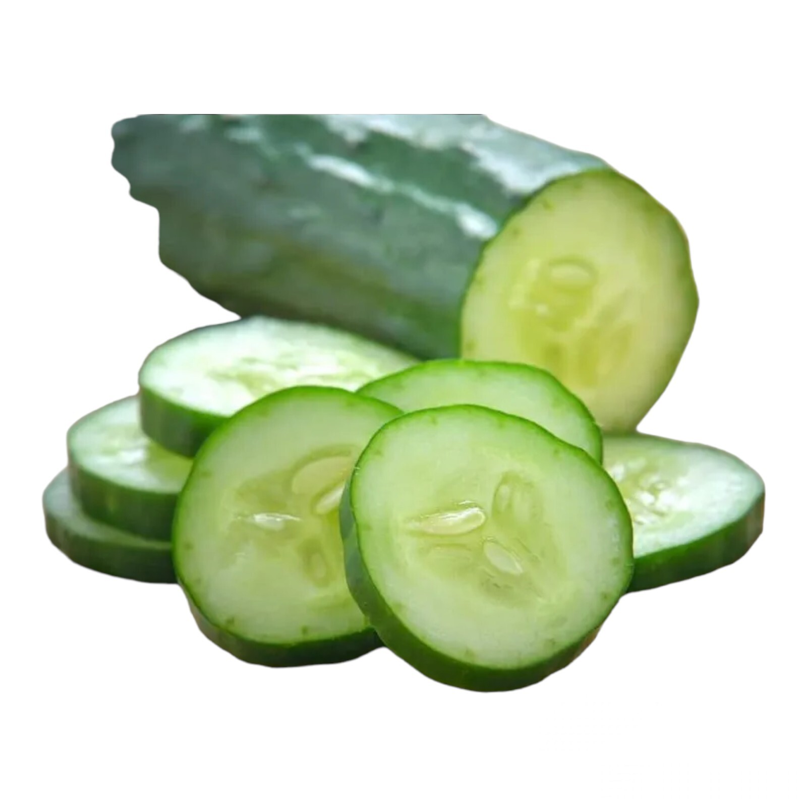 25 Marketmore 76 CUCUMBER SEEDS | productive variety | sweet and tender.