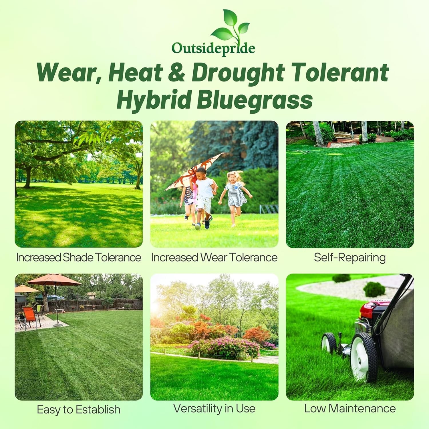 10 LBS – OptiGrowth Coated SPF-30 Hybrid Heat & Drought Tolerant Kentucky