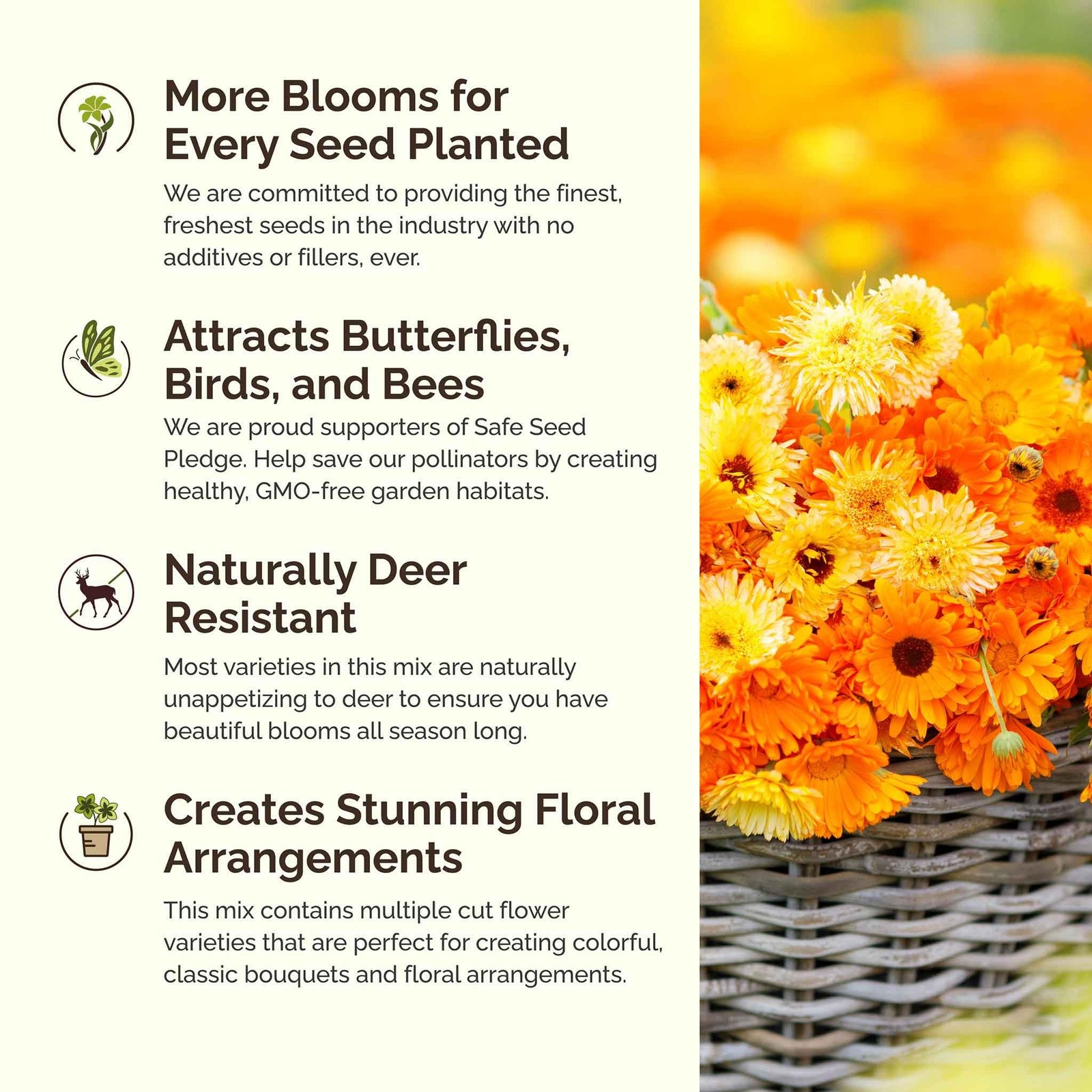 Partial Shade Wildflower Mixed Seeds for Planting, 1/4 lb, 120,000+ Seeds wit…