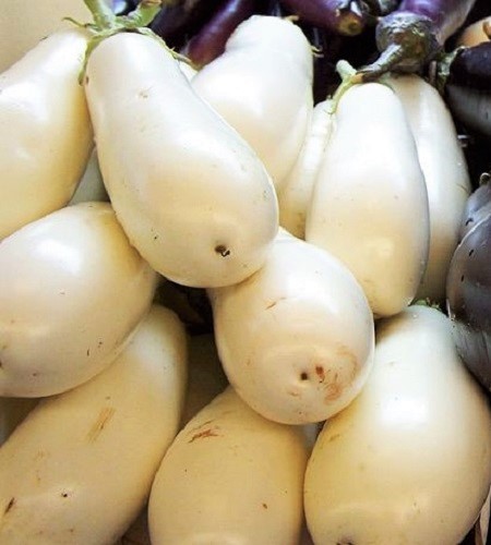 50 CASPER WHITE EGGPLANT Solanum Melongena Fruit / Vegetable Seeds *Combined S/H