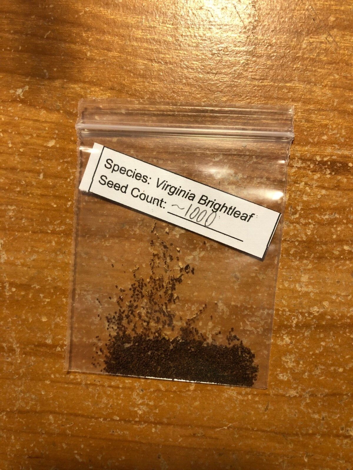 Virginia Bright Leaf 1000 Sweet Tobacco Seeds – High Sugar Content + FREE SEEDS!