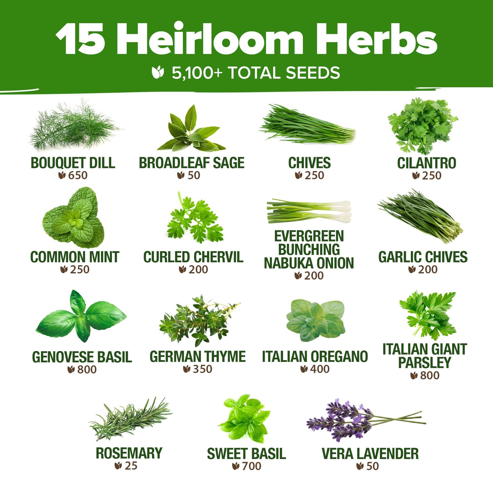 Herb Seeds for Planting 15Pack Massive Seed Count 5,100+ Seeds NonGMO Heirloo…
