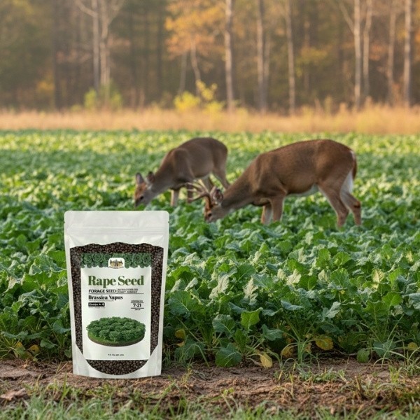 Old Cobblers Farm™ Wicked Tuff Turf Essex Dwarf Rape Seed – Lush Green Forage