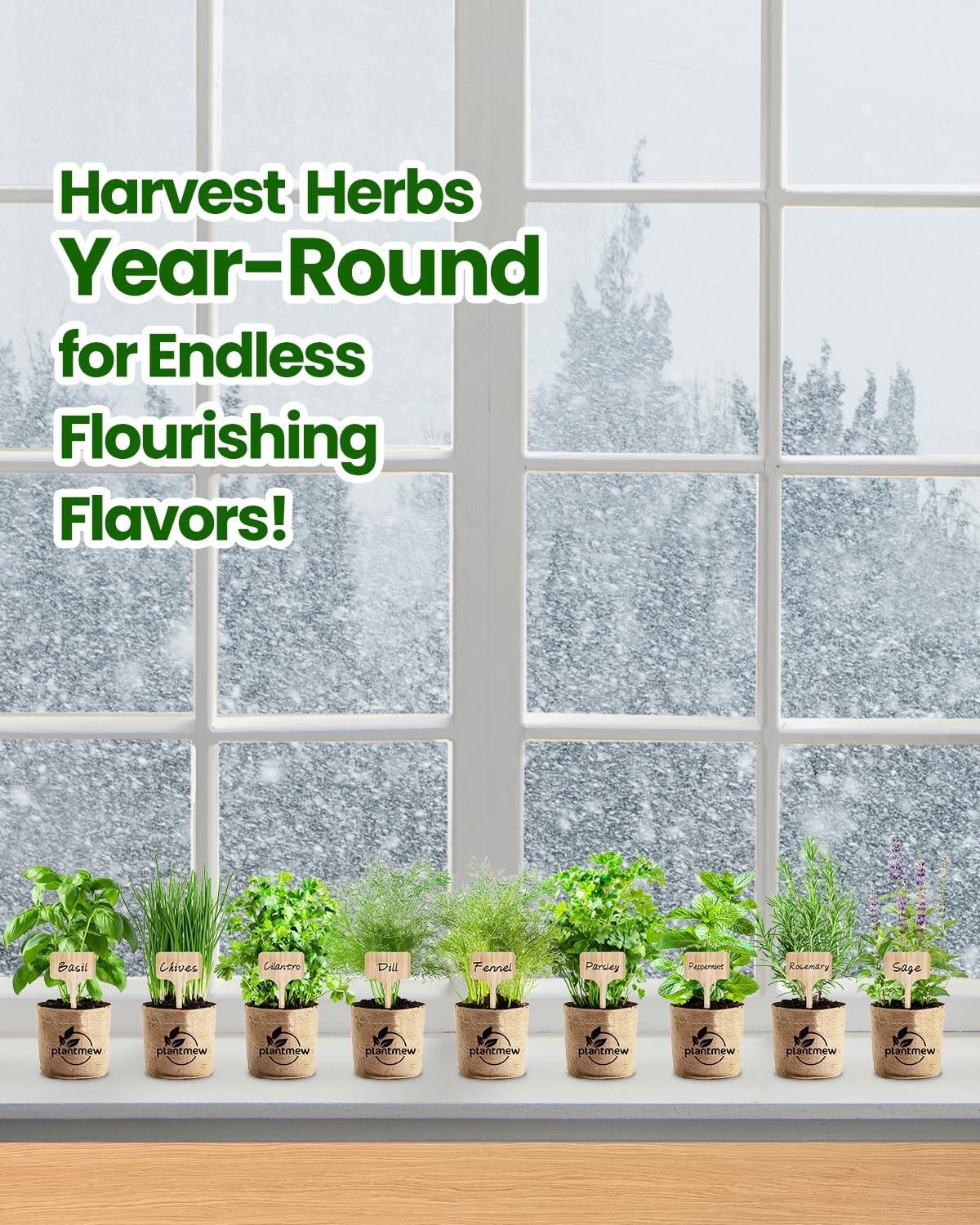 9 Herb Indoor Garden Kit – Unique Kitchen Gift for Women, Men, Mom, Friends -…