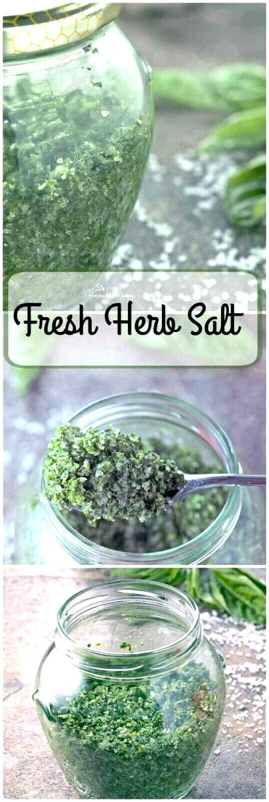 ESSENTIAL KITCHEN SURVIVAL! 5 CULINARY herb varieties great taste NON-GMO SEEDS