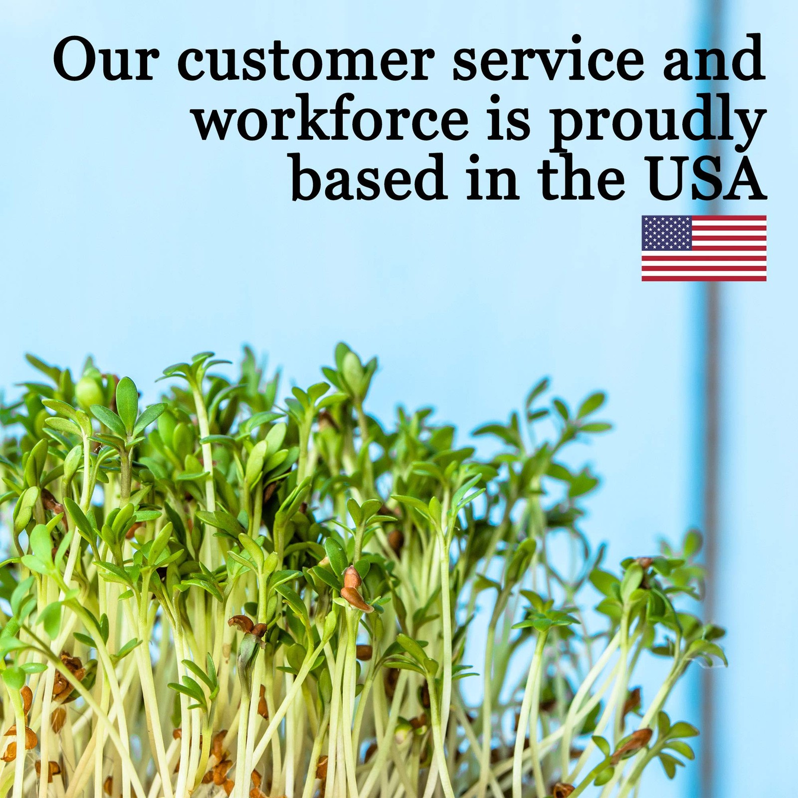 Organic Broccoli Sprout Kit with Stainless Steel Lid, Stand, NonGMO Seeds