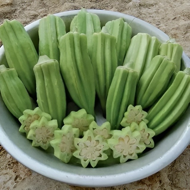 60 Heirloom Star of David Okra Seeds – 7–8″ Thick Ribbed Pods – Non-GMO