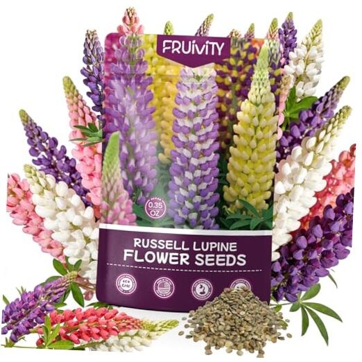 Russell Lupine Seeds (0.35oz – 1000+ Seeds) – Mixed Color Perennial Wildflower