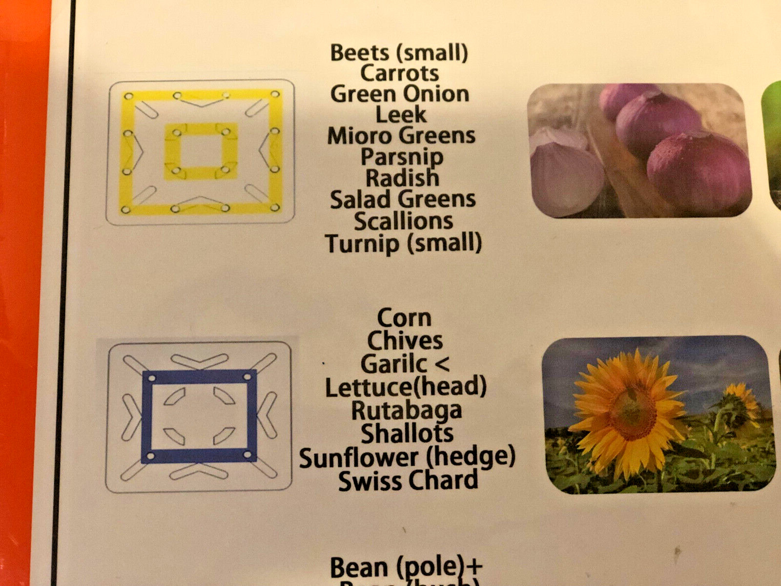 Garden Color Coded Planting Guide Vegetables Best use of space