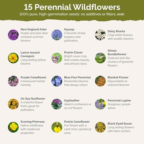Midwest Wildflower Mixed Seeds – 120,000+ Perennial Seeds for Planting, Attracts