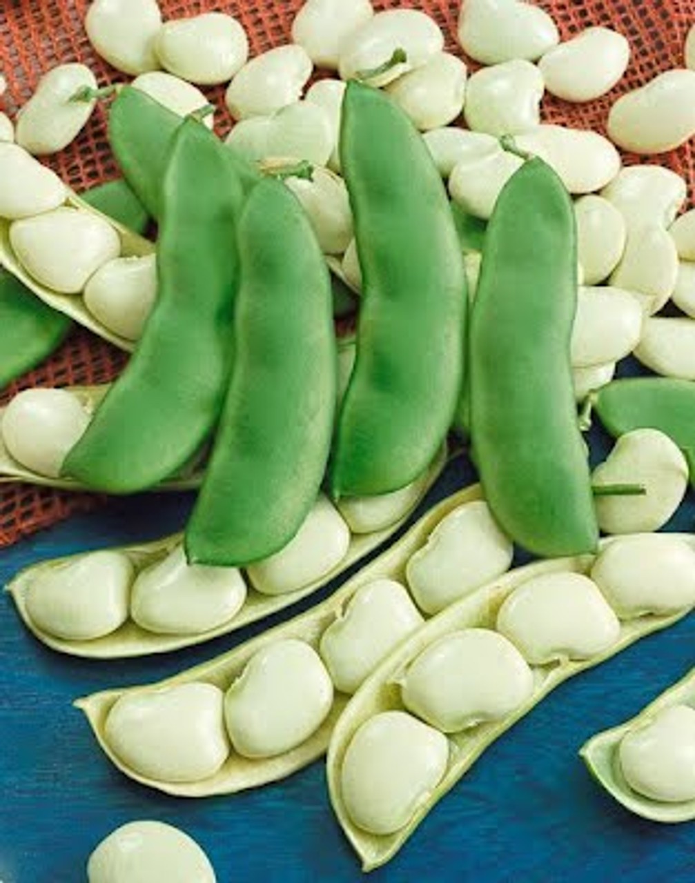 Henderson Bush Lima Bean Seeds Untreated. FREE SHIPPING!
