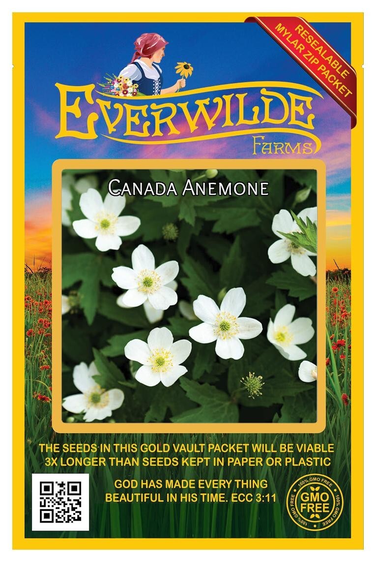 75 Canada Anemone Wildflower Seeds – Everwilde Farms Mylar Seed Packet