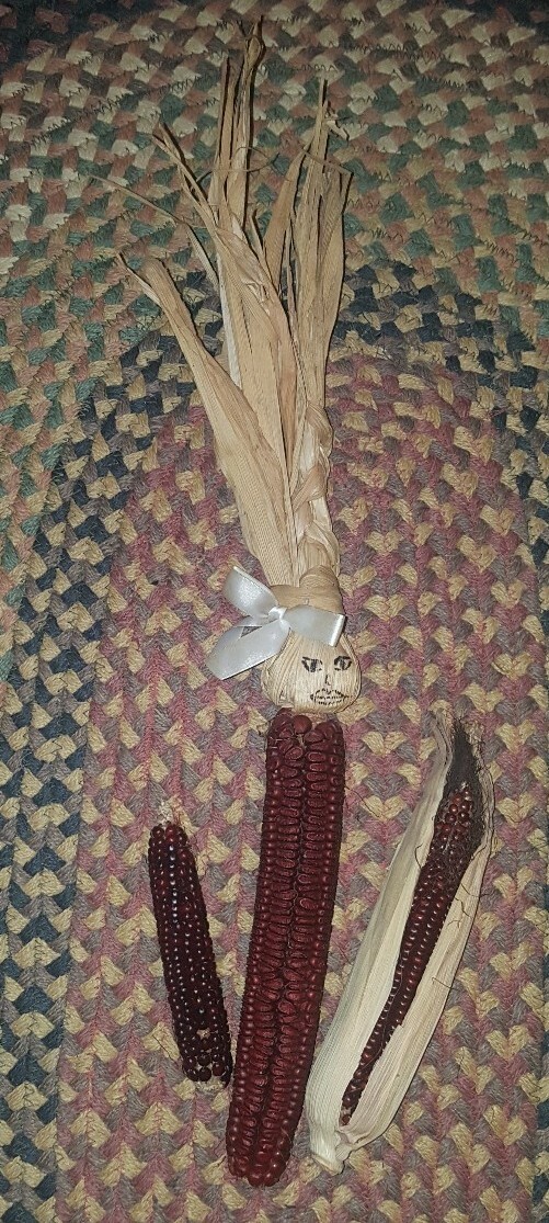 25 BLOODY BUTCHER Corn Seed, Kentucky Grown, USA, Non GMO 2019 crop.