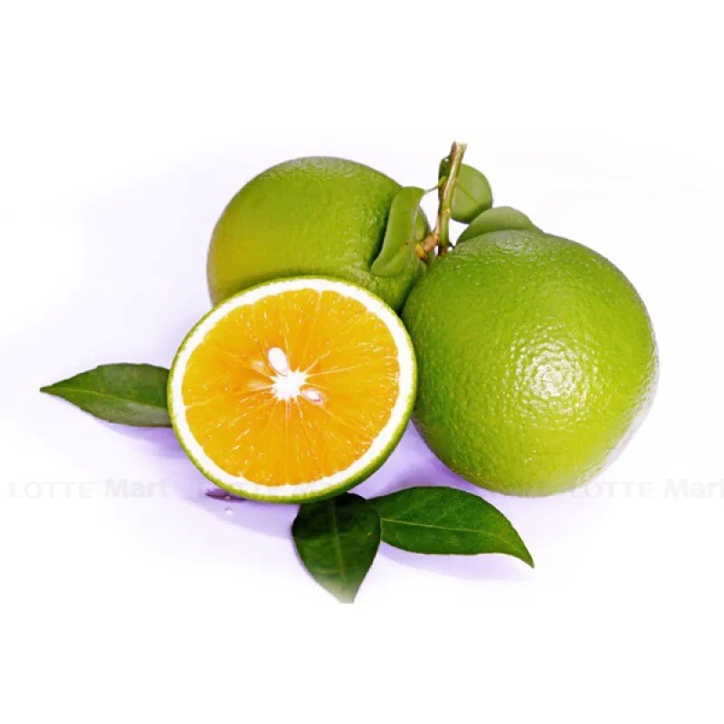Green & Thin skin, Sweet Orange Fruit – 10 Seeds 2024 – USA