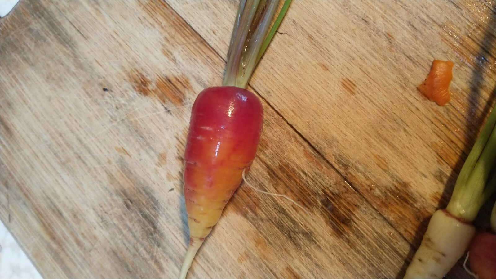 Red dragon carrot seeds 200+ seeds + Free Shipping