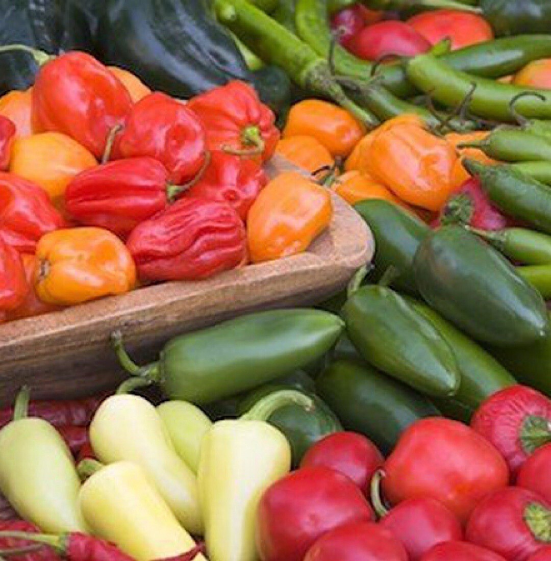 100+ Pepper Seeds – Mixed Peppers Seeds- Ghost, Habanero, Jalapeños AND More US