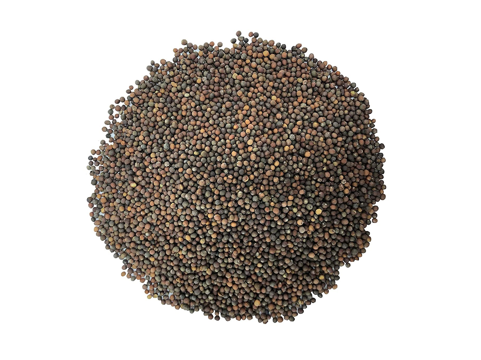 Food to Live Kale Sprouting Seeds, Vegan