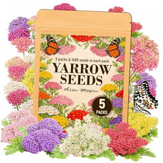 8000+ Yarrow Seeds for Planting – 5 Packs Colors Mixed, Achillea Millefolium