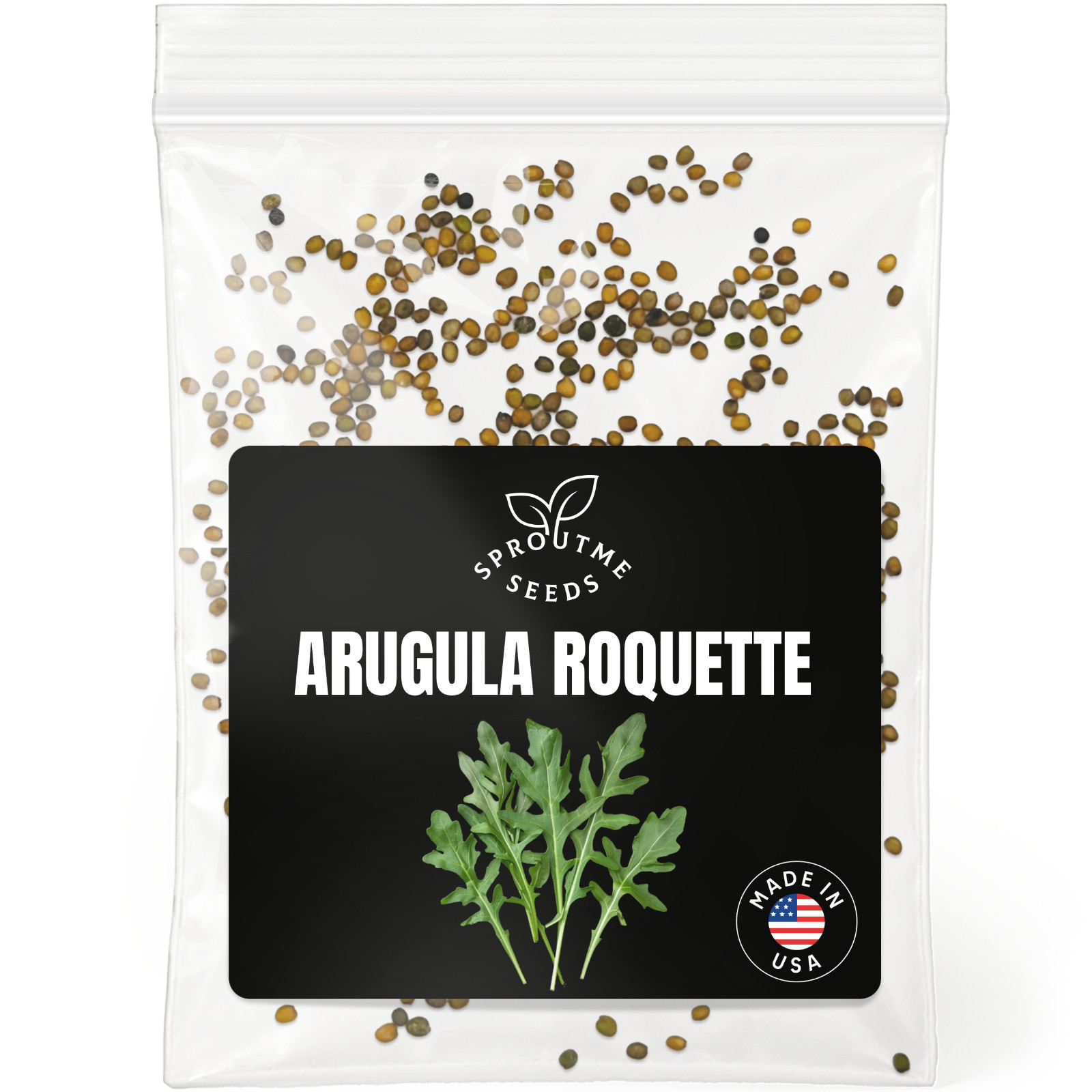 Arugula Roquette Seeds 500+, Heirloom Non-GMO, Fast Growing Salad Greens