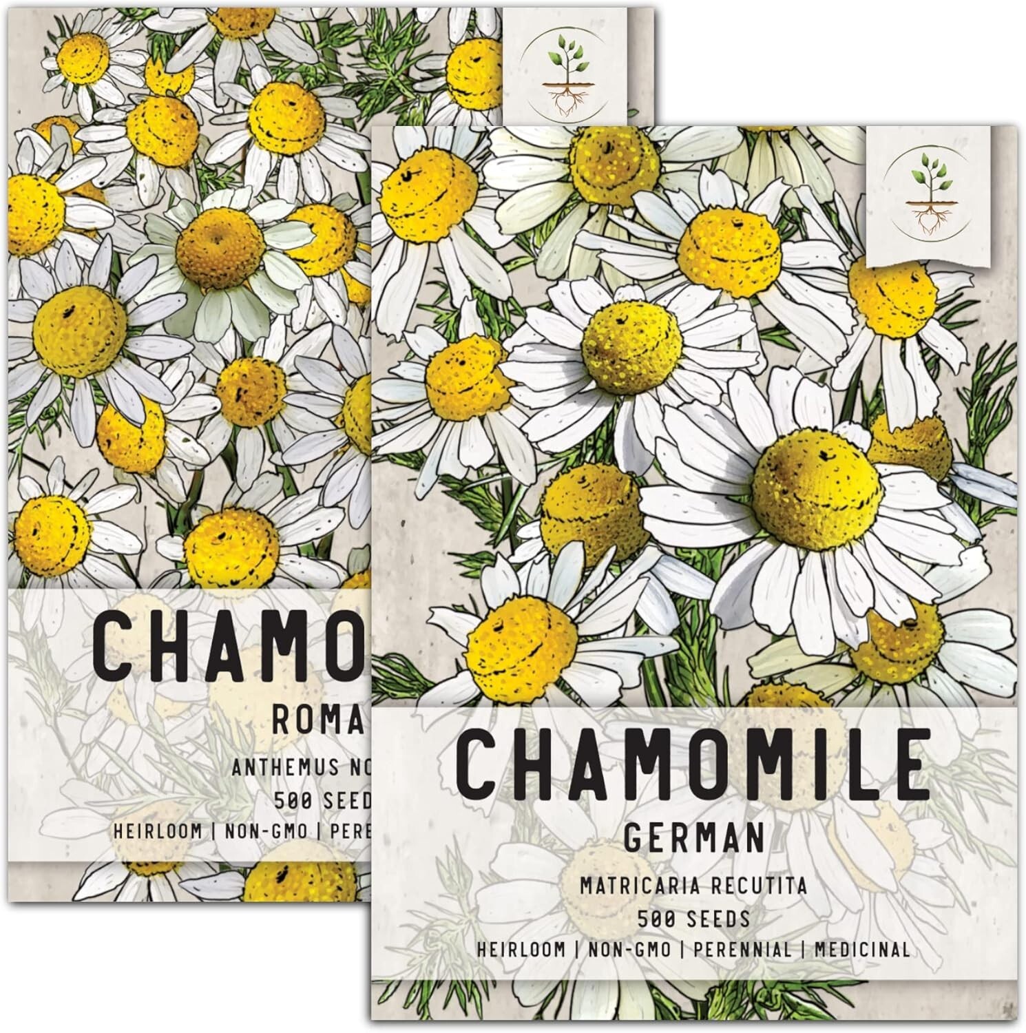Bouquet of Biodegradable Beauty: 1000 Chamomile Seeds for Flowering & Herbal Use