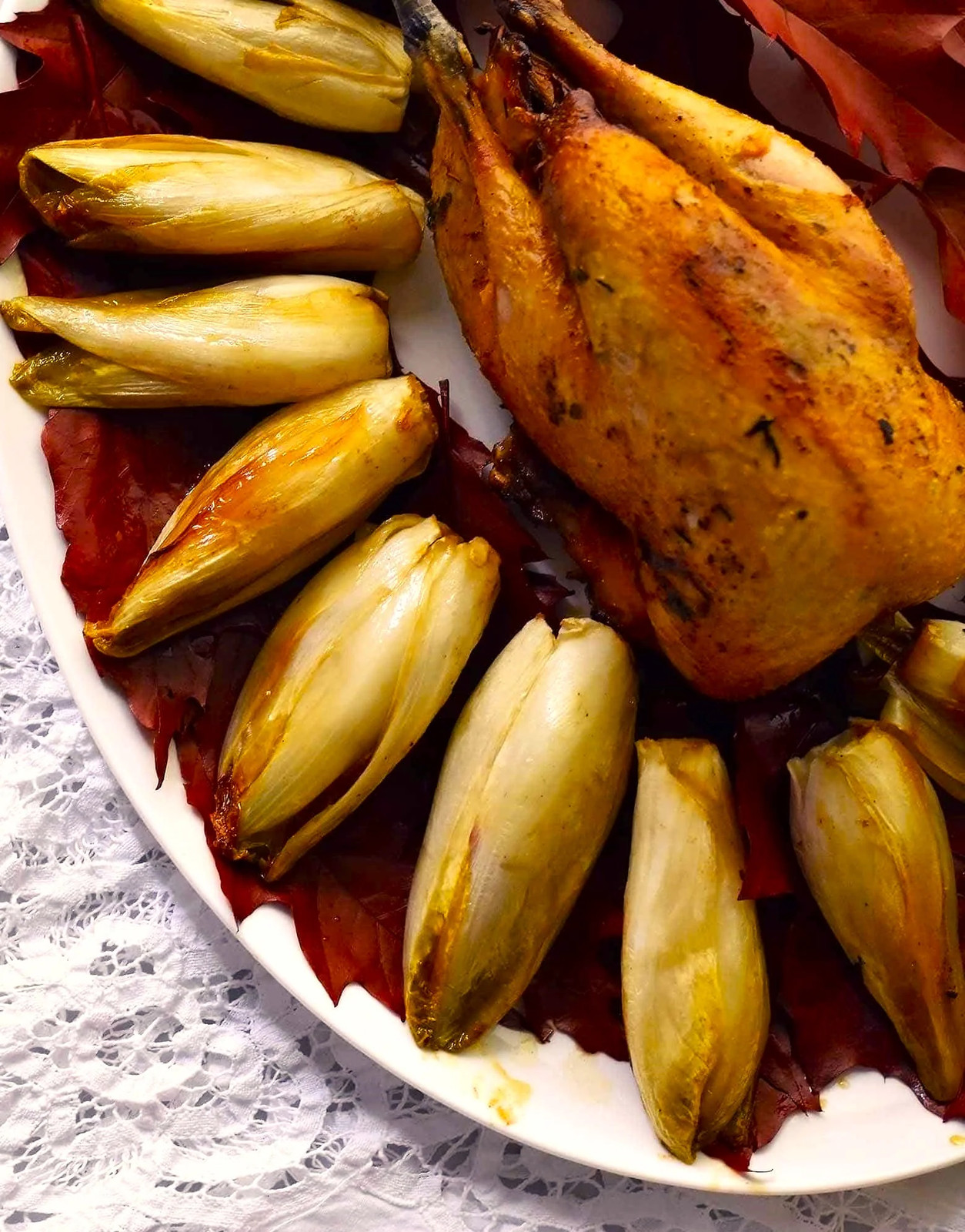 Belgian Endive Seeds, Witloof Chicory | Witlof Chicon Perennial Garden Seed 2024