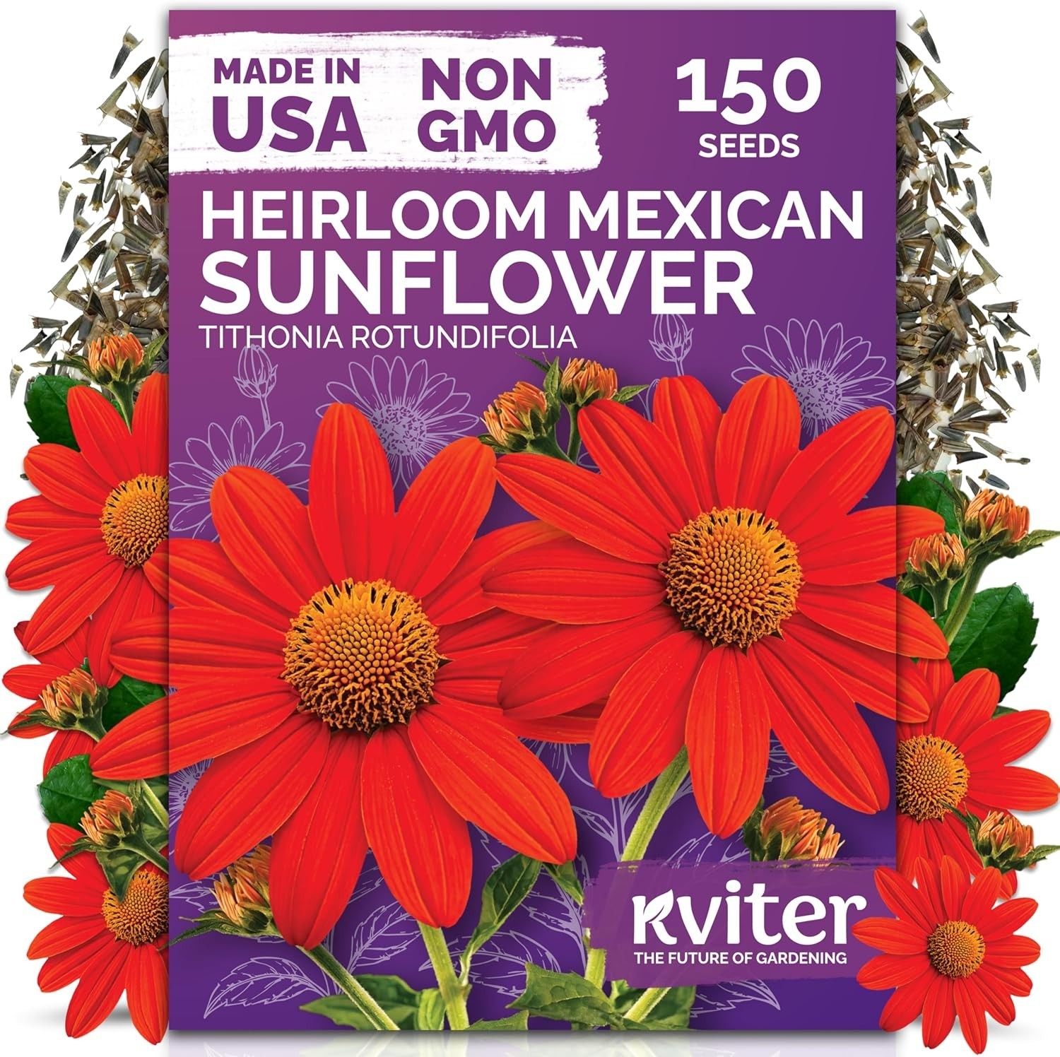 Low Maintenance 150 Count Mexican Sunflower Seeds – Full Sun, Bold Orange Blooms