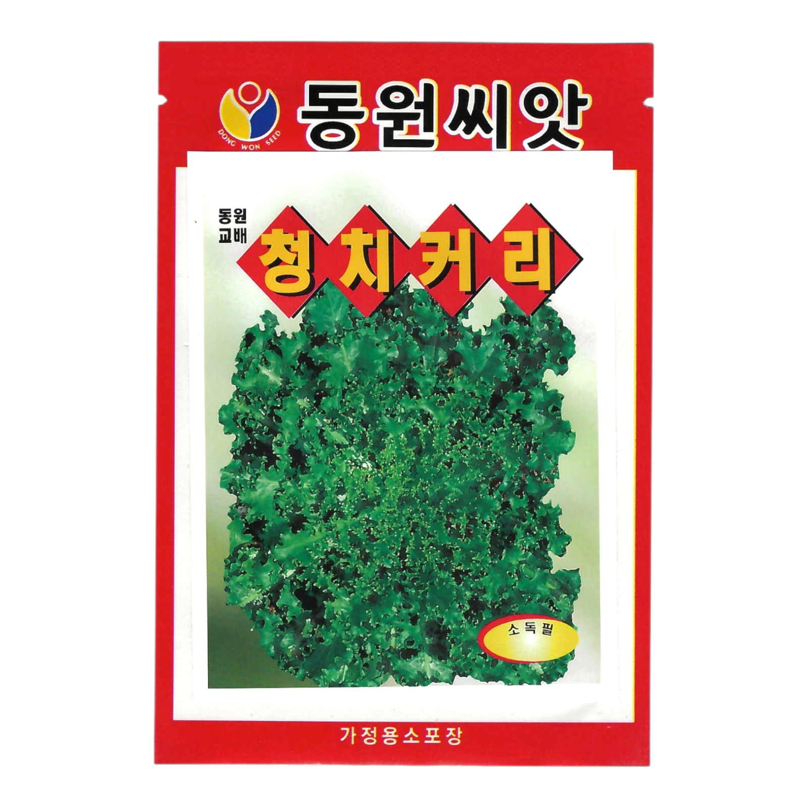 Korean Chicory Seeds 1 Pack | Green Leaf Chicory (청치커리)