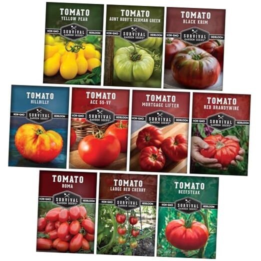 Tomato Seeds 10 Variety Pack for Planting – Black Krim, Roma, Cherry, Aunt