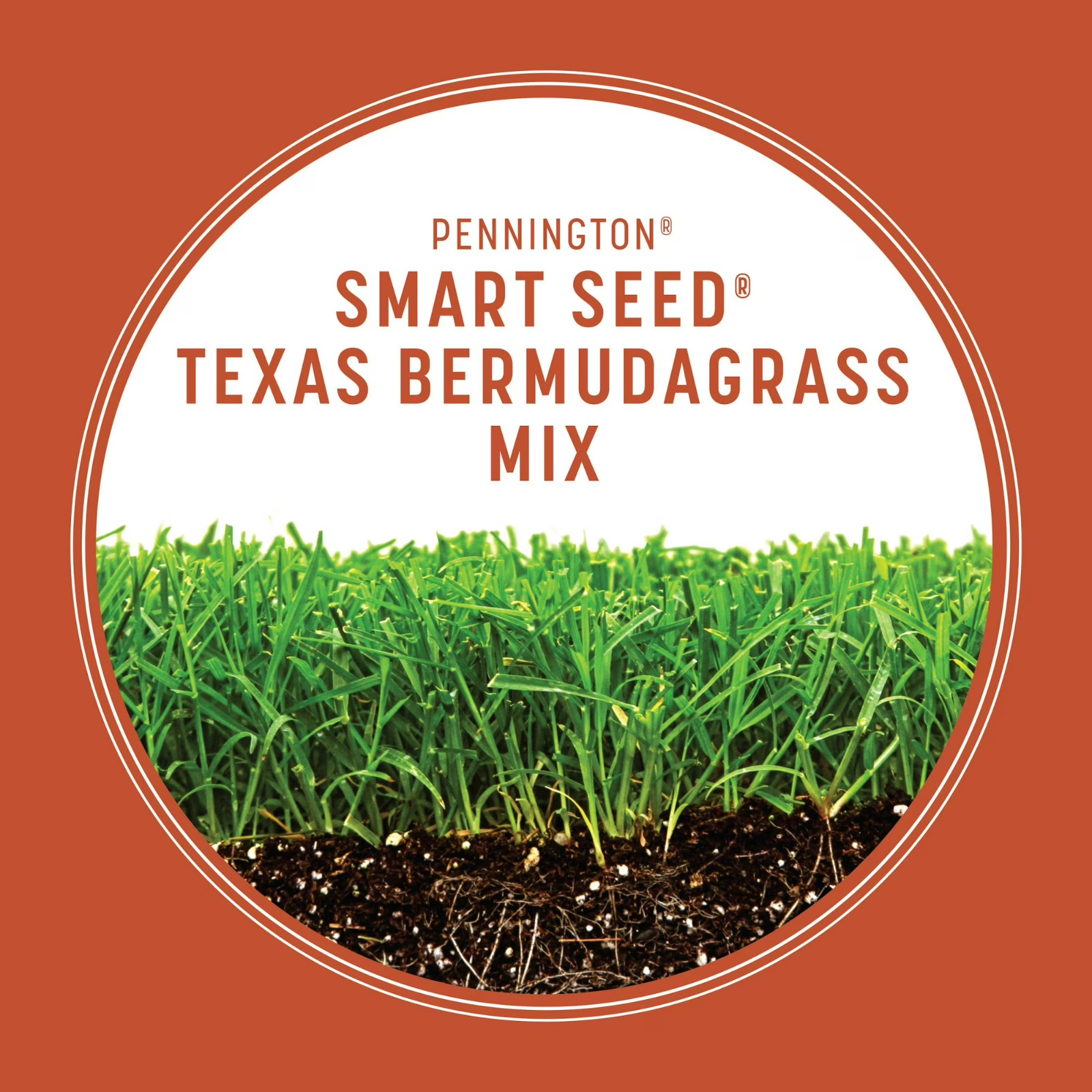 (3 Pack) Pennington Smart Seed Texas Bermuda Grass Seed 1.75 lb Full Sun Lawn