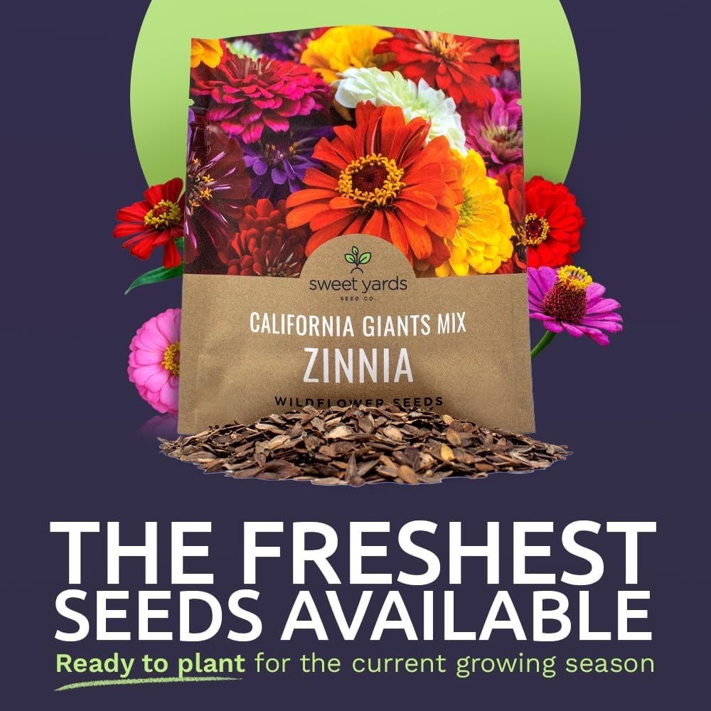 Heirloom Zinnia Seeds – 1 Ounce with 3,000 Seeds for Colorful Spring-Fall Blooms