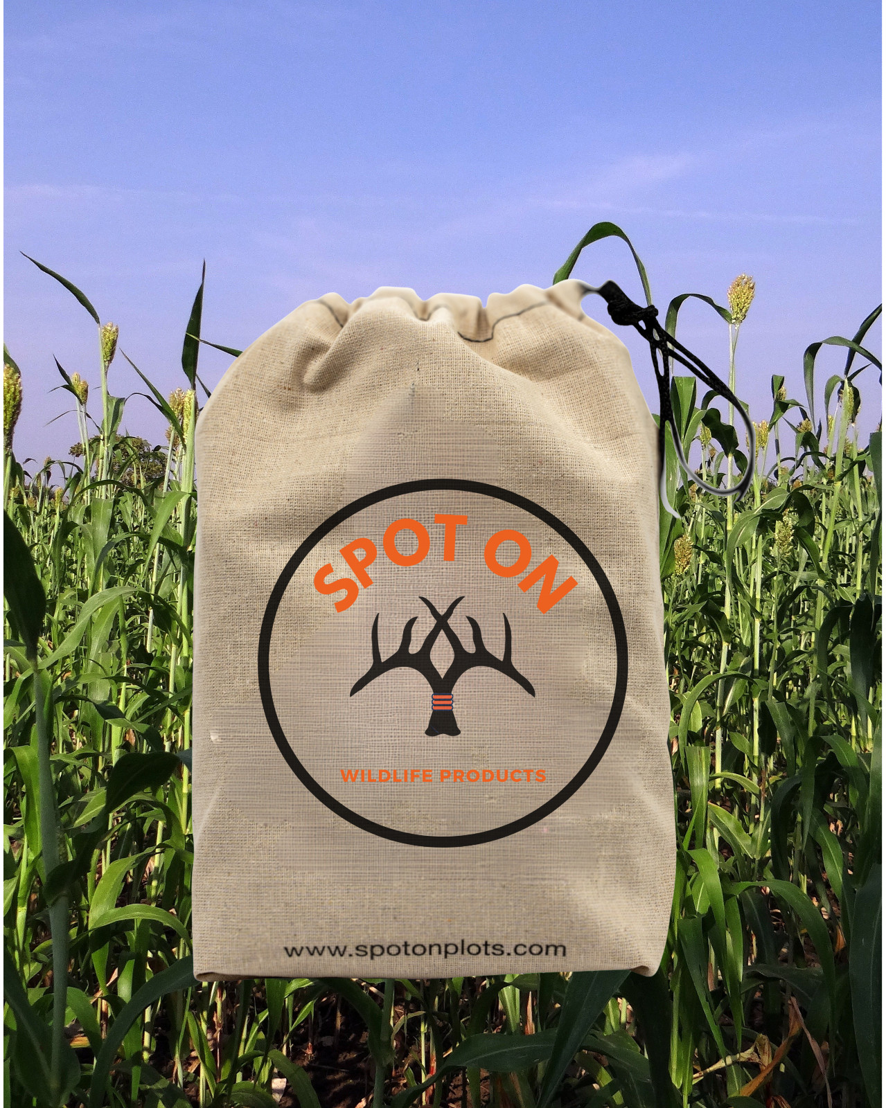 Egyptian Wheat seed for planting – habitat hunting screening 5lbs 1/4 Acre