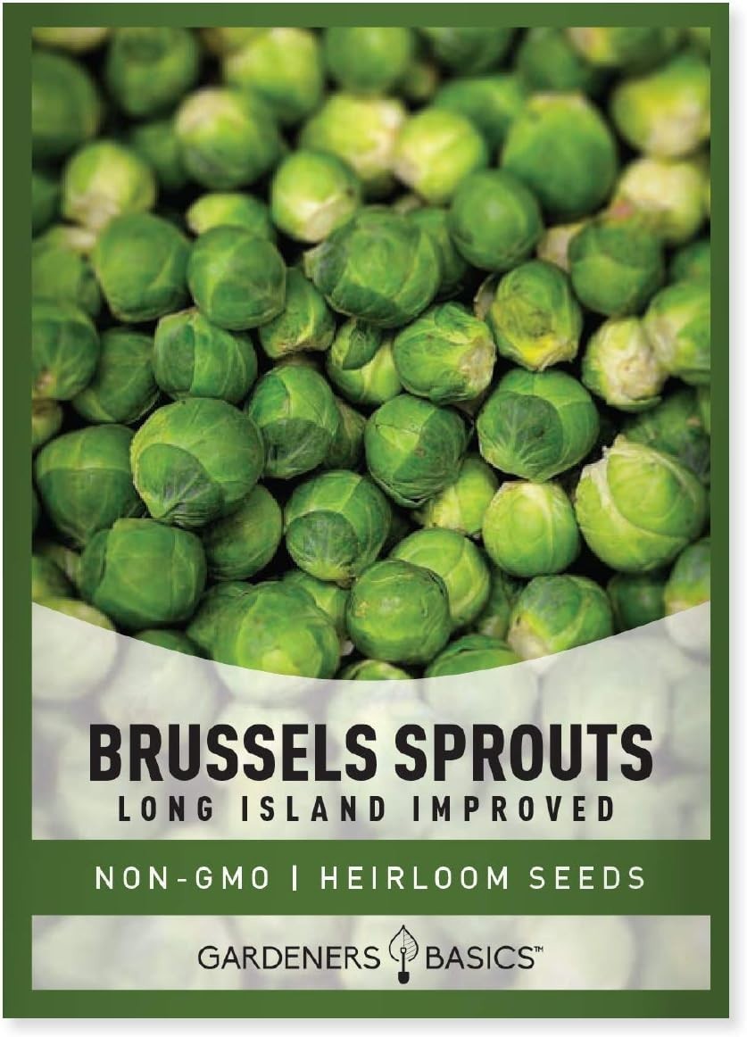 Long Island Improved Brussels Sprouts Seeds – 225 Count, Perfect for All Seasons