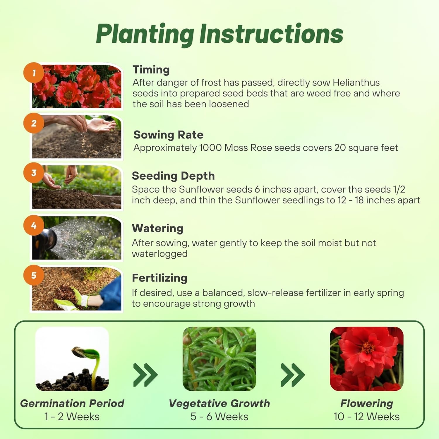 10000 Seeds Drought Tolerant Red Moss Rose Portulaca Ground Cover Plant Seed
