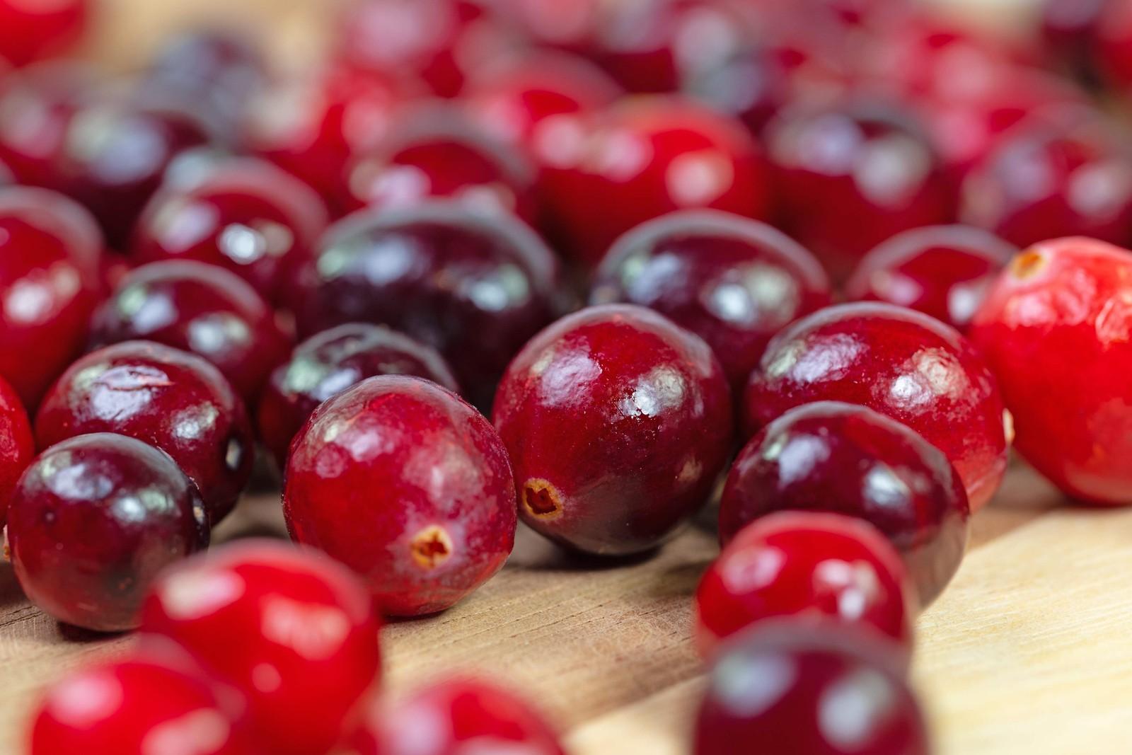 100 Perennial CRANBERRY American Vaccinium Macrocarpon Red Fruit Bush Seeds