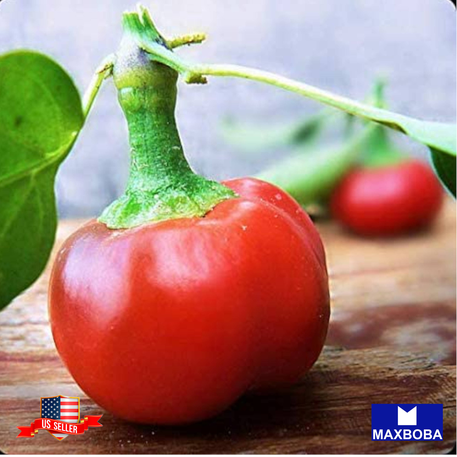 Pepper Seeds – Hot – Large Red Cherry Hot Non-GMO Heirloom Vegetable