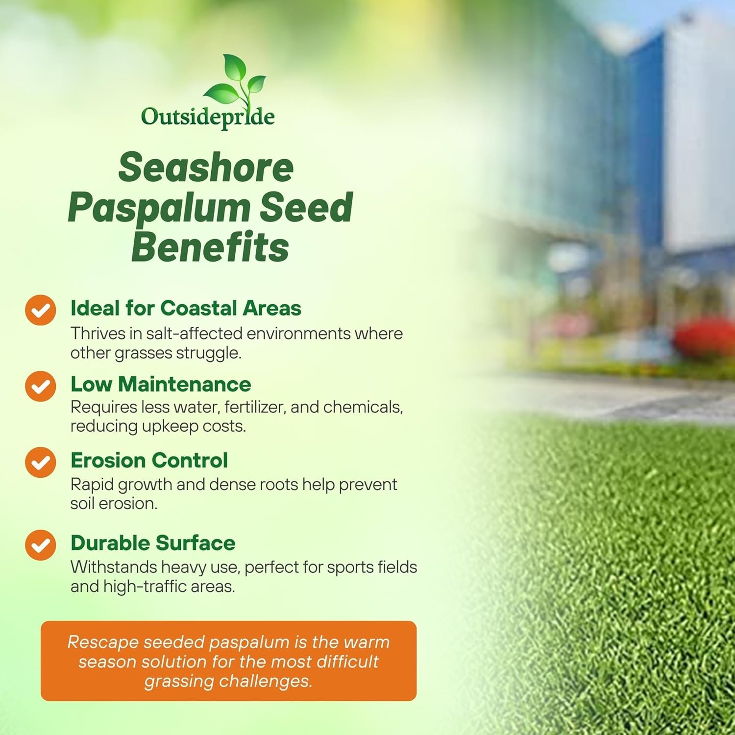 1 LB Rescape Seashore Paspalum Lawn Grass Seed