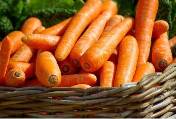 Carrot Seeds – Brilliance – Heirloom, Premium Non-GMO, FREE SHIPPING