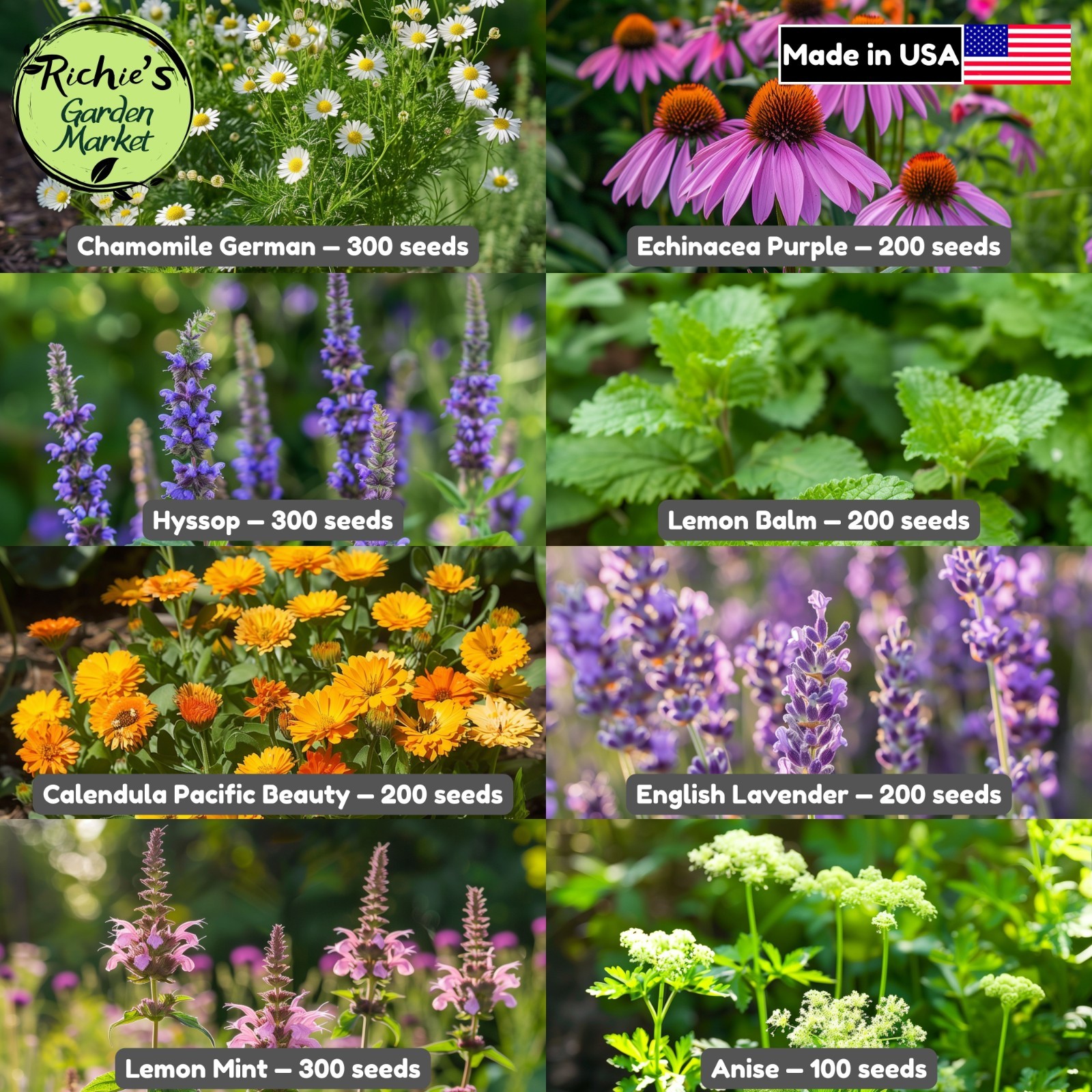 8 Medicinal Herb Seed Collection, Non-GMO, Fast Growing, Easy to Grow
