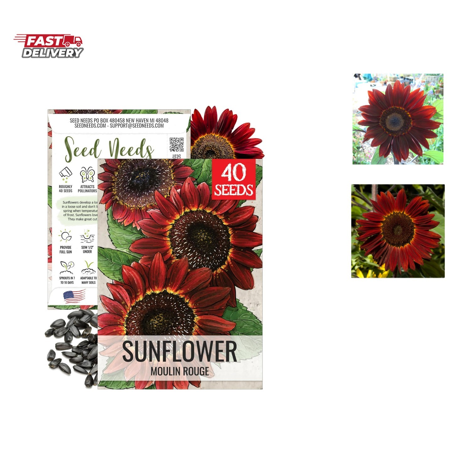 Moulin Rouge Sunflower Seeds for Planting Red Sunflowers – F1 Hybrid Deep Bur…