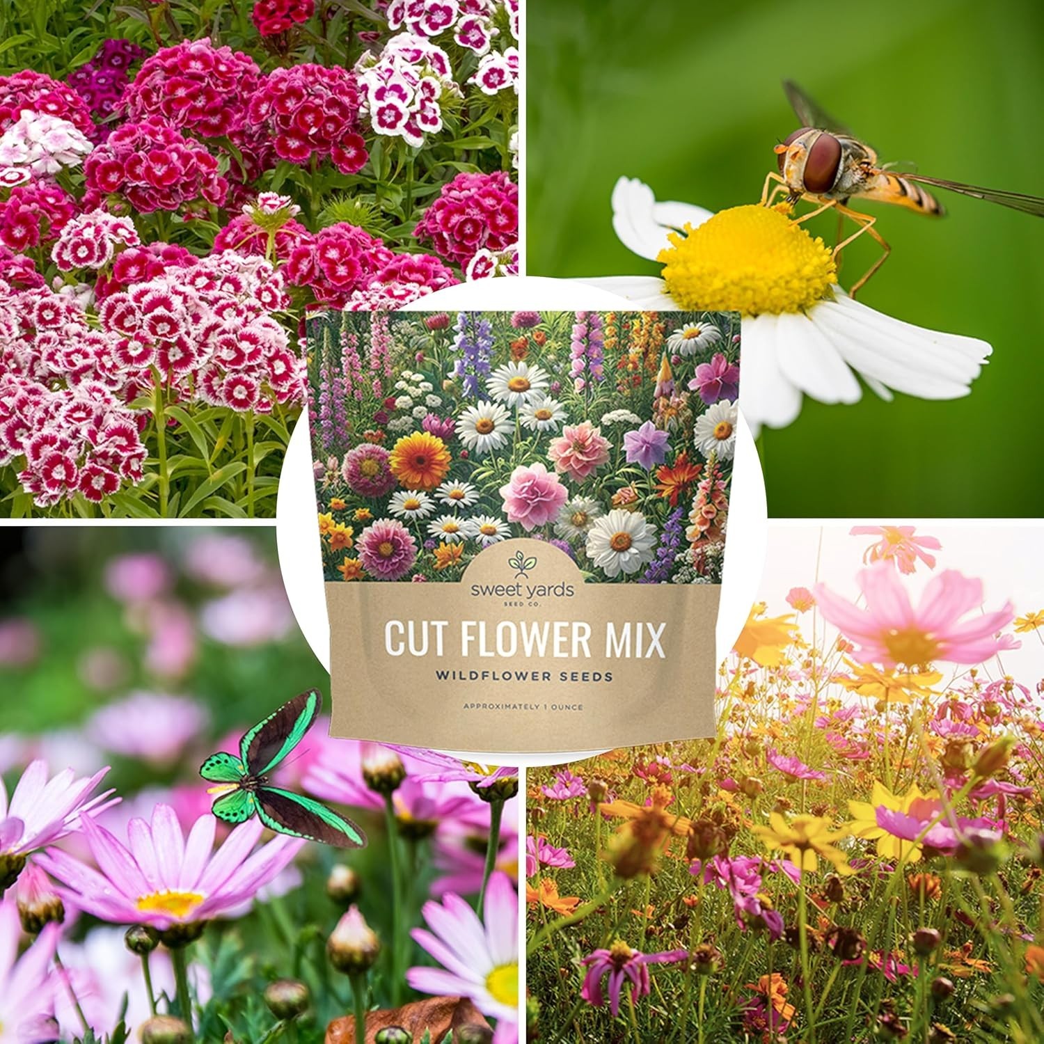 Succulent 1 Ounce Packet of Wildflower Seeds – 7500 Count, Guaranteed to Grow!