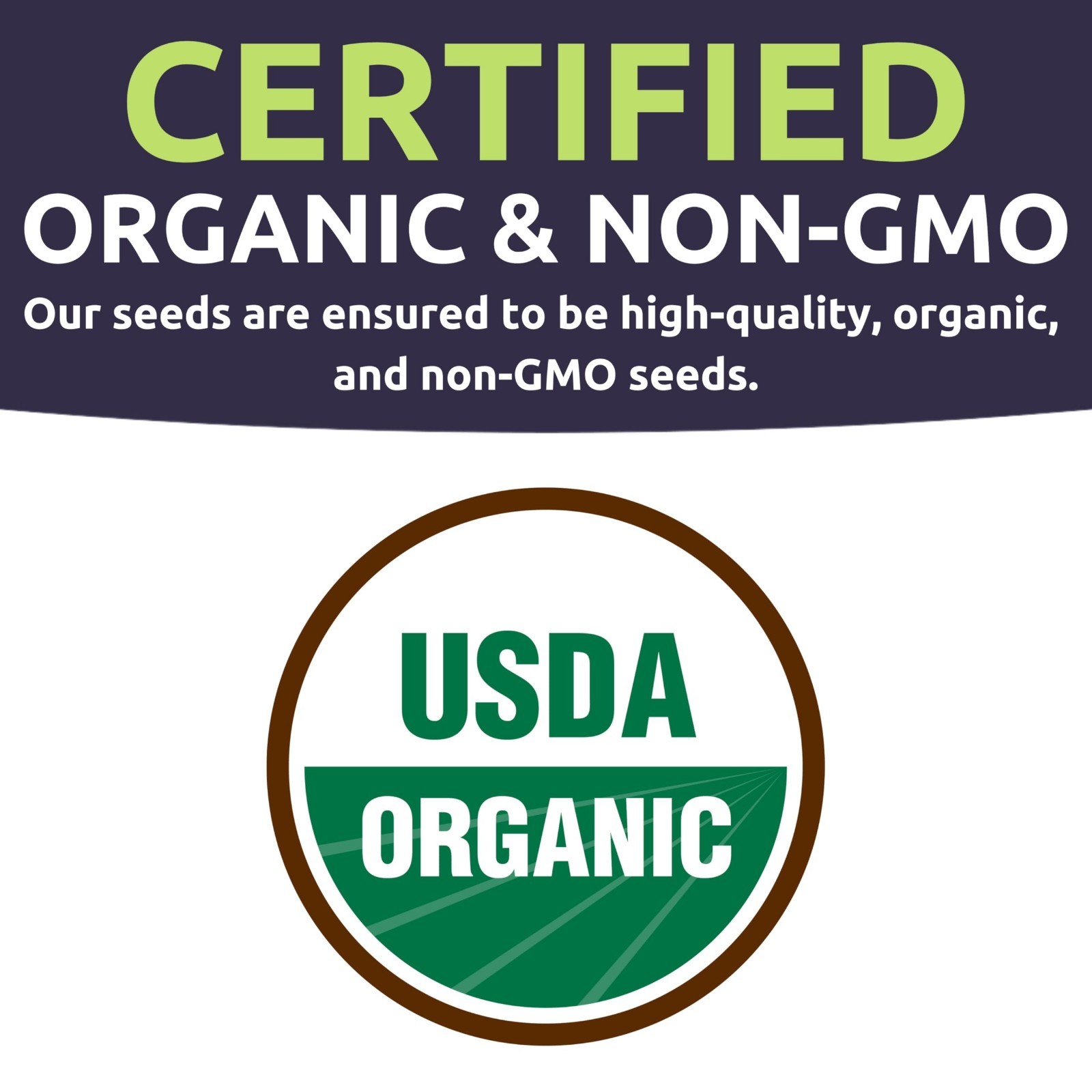 Ultimate Organic Seeds Variety Pack – 60 Non-GMO Packs for Indoor/Outdoor Planti