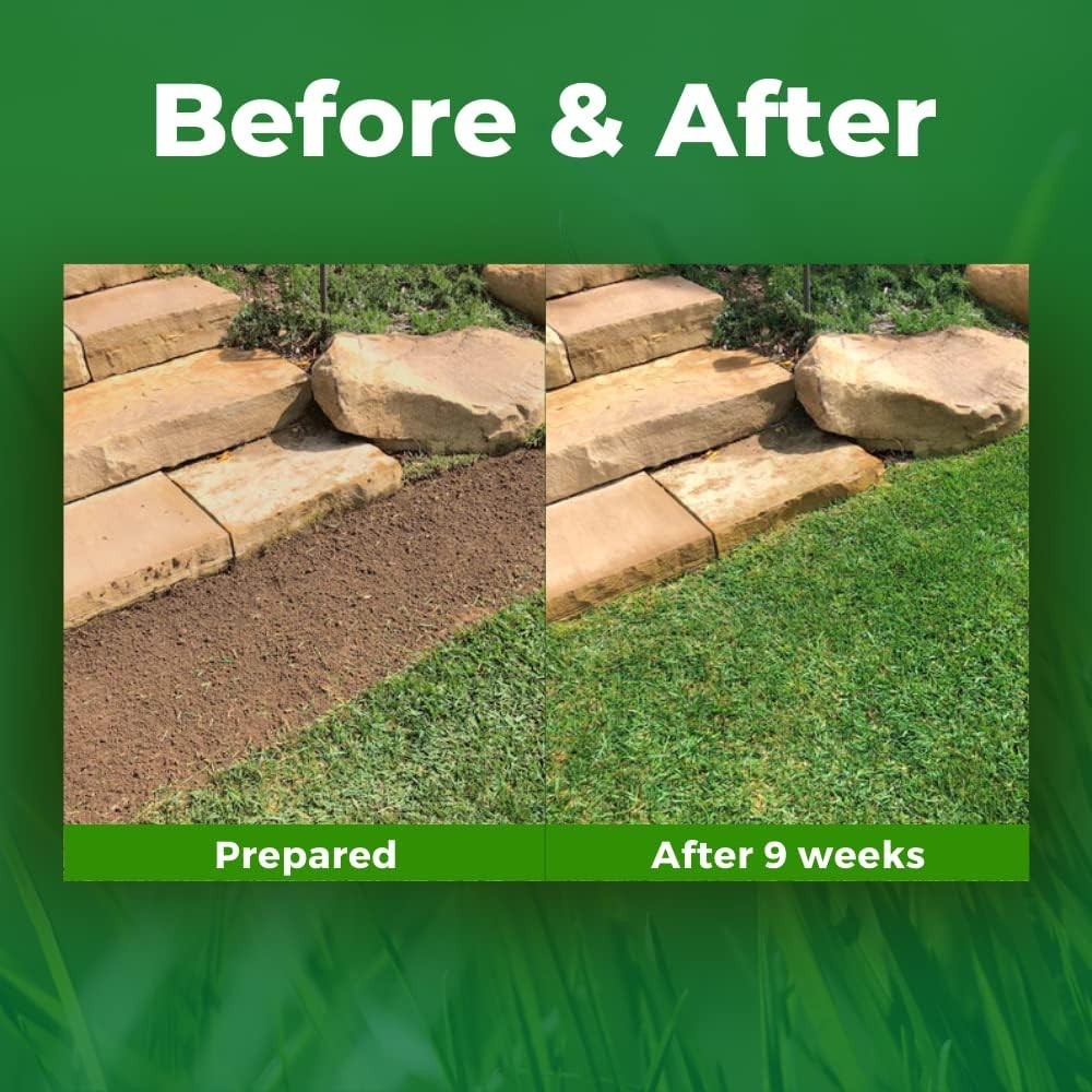 Sustainable Bermuda Rye Grass Seed Mat – 50 SQFT for Lush Outdoor Lawns