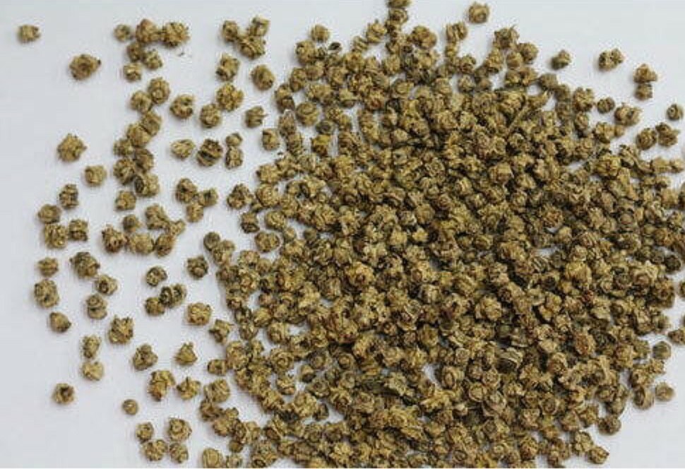 8 oz Beet Seeds for Microgreens, NON GMO